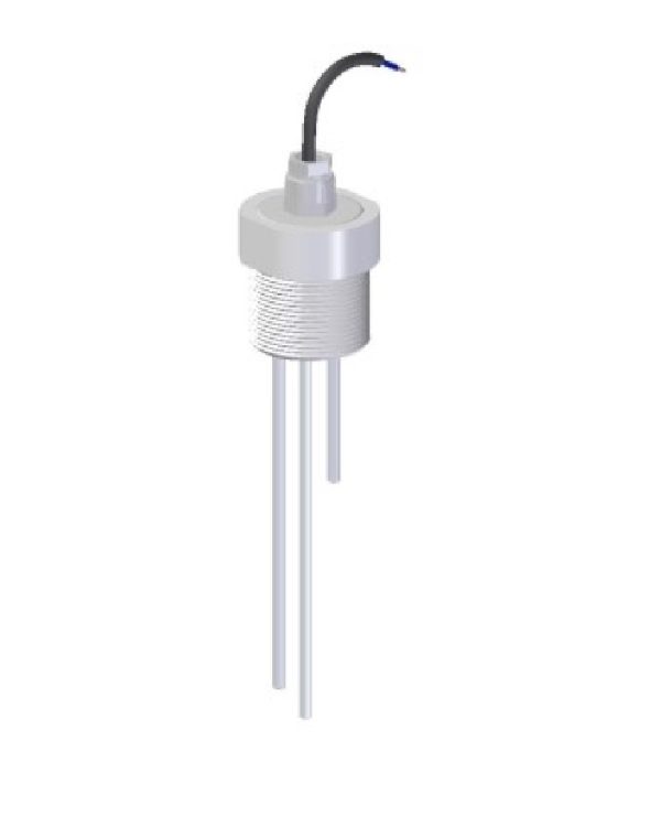 Disibeint NRAI 1 1/2 PG9 2E | Elektrode houder | 2 electroden